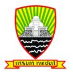 Insum Medal